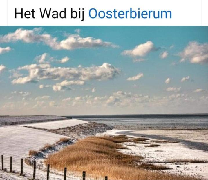 4-Persoons Vakantiehuisje Simmerwille Tzummarum 외부 사진